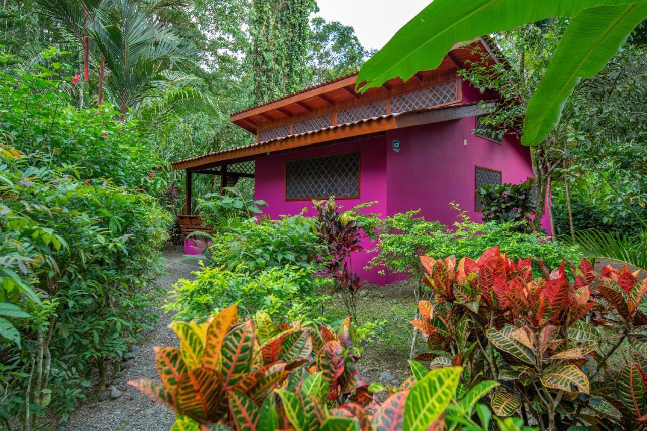 Villa Pina Dorada Dependencia Del Hotel Casa Merlin Puerto Viejo de Talamanca Exteriör bild