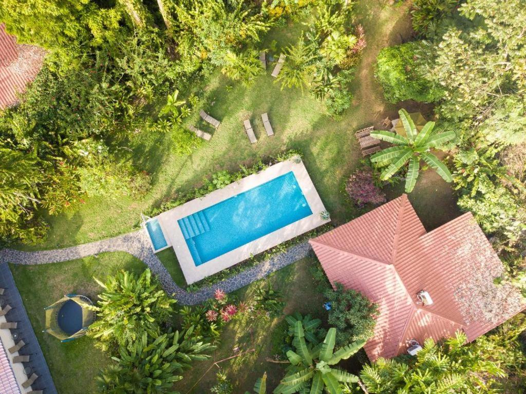 Villa Pina Dorada Dependencia Del Hotel Casa Merlin Puerto Viejo de Talamanca Exteriör bild