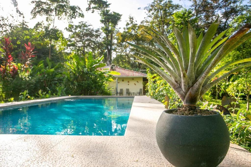 Villa Pina Dorada Dependencia Del Hotel Casa Merlin Puerto Viejo de Talamanca Exteriör bild